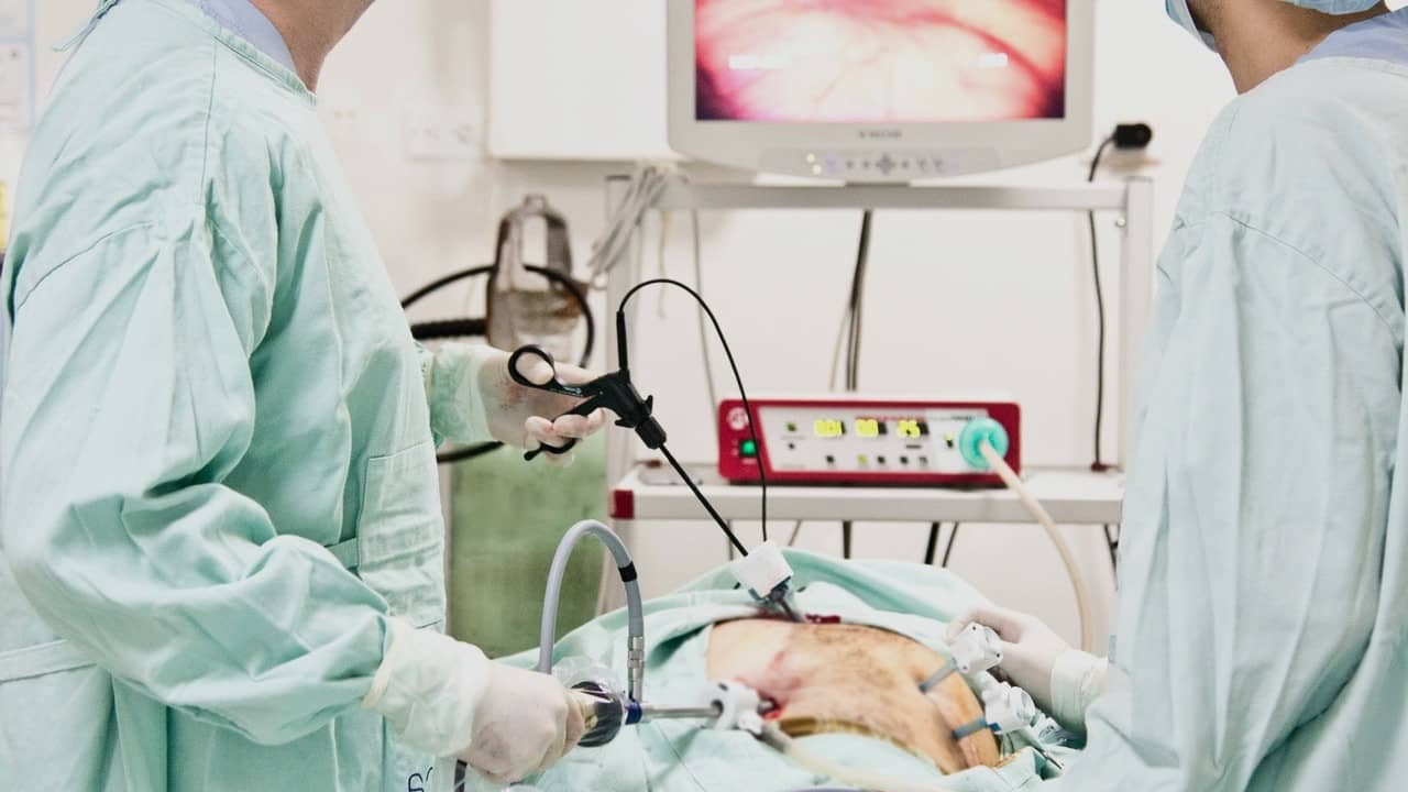Quelle est la différence entre une coloscopie et une endoscopie — free download