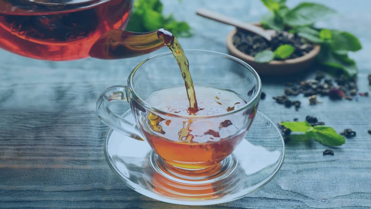 Infusion Th Et Tisane Quelles Diff rences