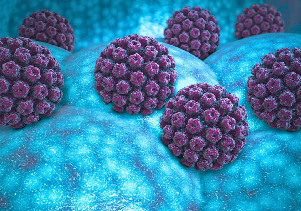 A quoi ressemble le virus HPV au microscope ?