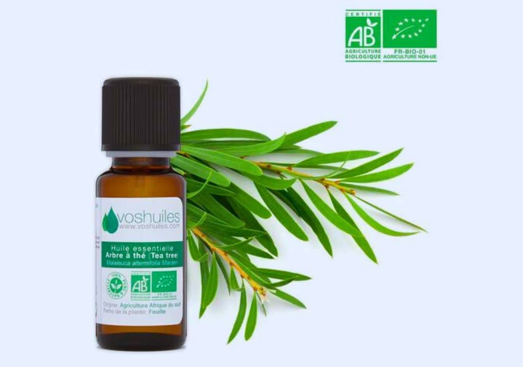 Pourquoi recourir à l'huile de tee tree pour soigner les infections de la gorge ?
