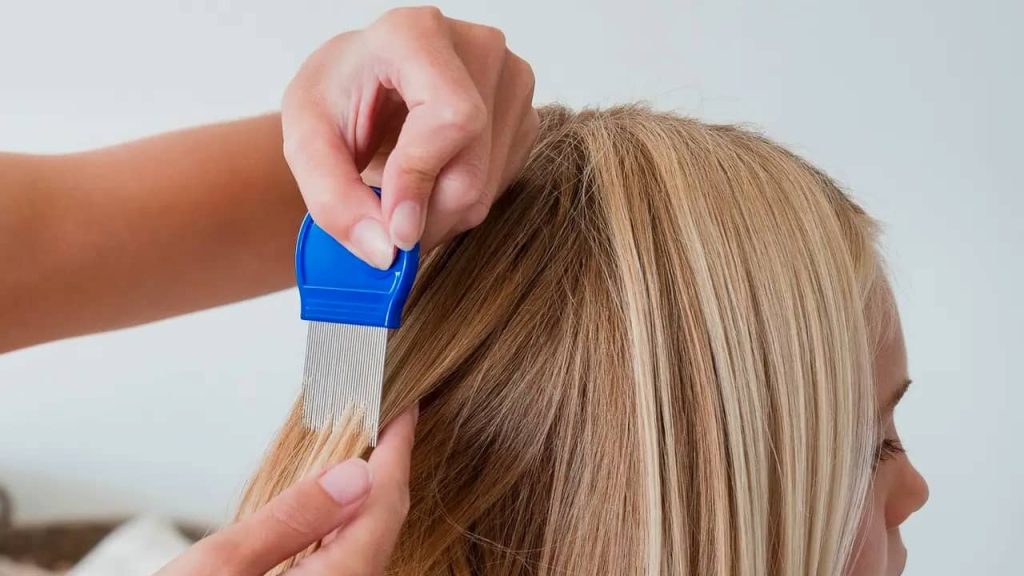 peigne anti-poux